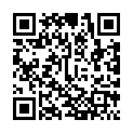 [TorrentCounter.eu].Mr.Robot.S03E09.720p.HDTV.x264.[225MB]的二维码