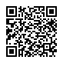 国家地理.伟大工程巡礼系列E30.柏林火车站.外挂中字￡圣城春树的二维码