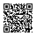 [BBsee]《锵锵三人行》2007年12月19日 搞乱台湾 阿扁有几种方式的二维码