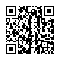 ฤดูกาลที่ 25.3 เรื่องราวในโคโนฮะ วันสุดวิเศษสำหรับการแต่งงาน (ตอนที่ 494-500)的二维码