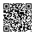 [香烟制作-国英双语]加勒比海盗3：世界的尽头.Pirates.of.the.Caribbean.At.World's.End.2007(1024X432.X264)的二维码