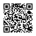 無修正-fc2ppv-1657528-会社受付の美人ol-返済期限切れのため４本の他人棒が車内で利息を貰う.mp4的二维码